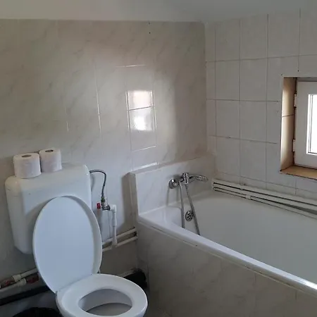 Guest house Vila Ecoului *